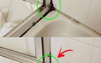 The fastest way to get rid of silicone mold in the shower