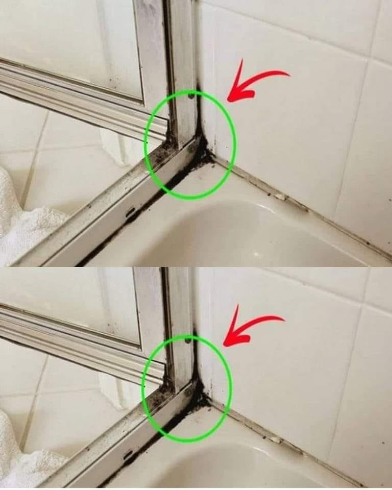 The fastest way to get rid of silicone mold in the shower