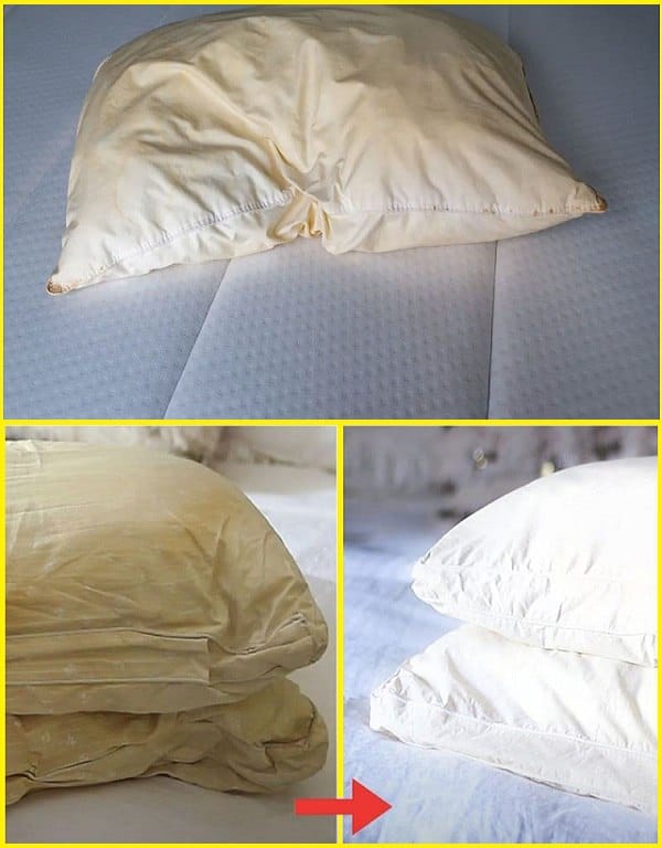 HomeHere’s how to clean dirty pillows from bed to leave them white and sweet scent… Here’s how to clean dirty pillows from bed to leave them white and sweet scent