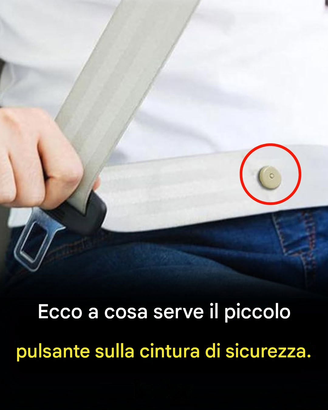 Do you know what that little button on your seat belt does? Find out more in the comments! ⬇️