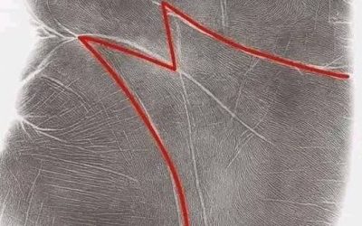 If you have the letter “M” on the palm of your hand, here’s what it means.