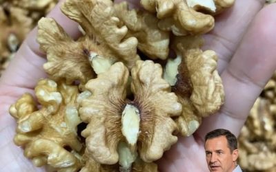 😲 What Happens to Your Body When You Eat Walnuts Regularly? Doctors Explain