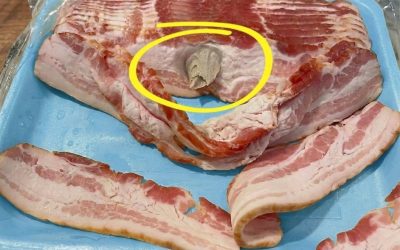 Easy Kitchen Food Safety Guide: What That Strange Bacon Chunk Really Means (Healthy Eating Tips & Smart Meal Prep Awareness)