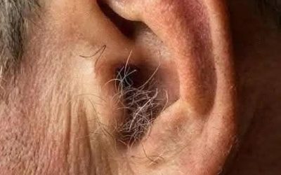 DID YOU KNOW? If hair grows on your ears, it’s because your body is…see more