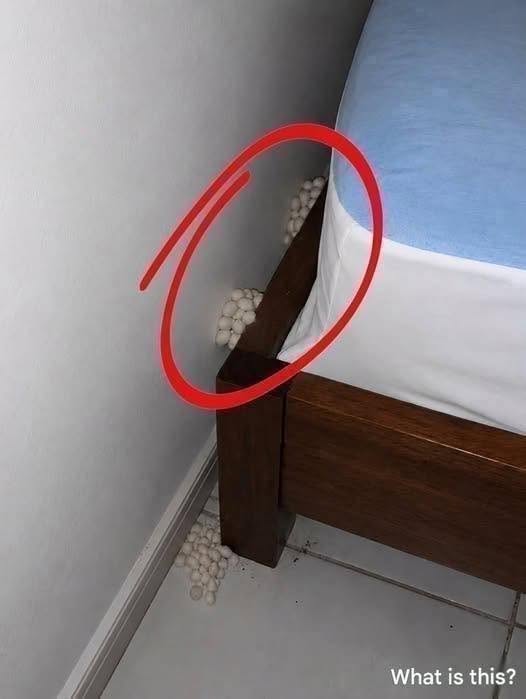 I arrived home exhausted, hoping for a quiet night, but one detail made me realize that something was wrong.1