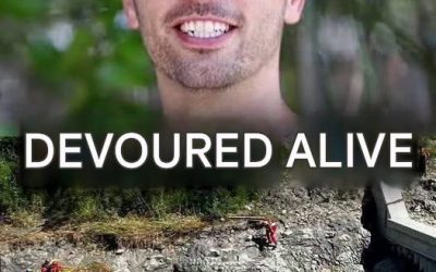 😱In front of his wife’s petrified gaze: killed by a…More…