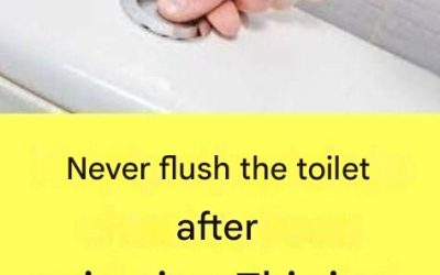 Why Is It Extremely Important Not to Flush the Toilet After Every Urination?