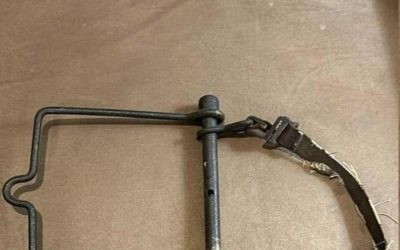 Can You Identify This Brass Beauty? The Antique Horse Drencher