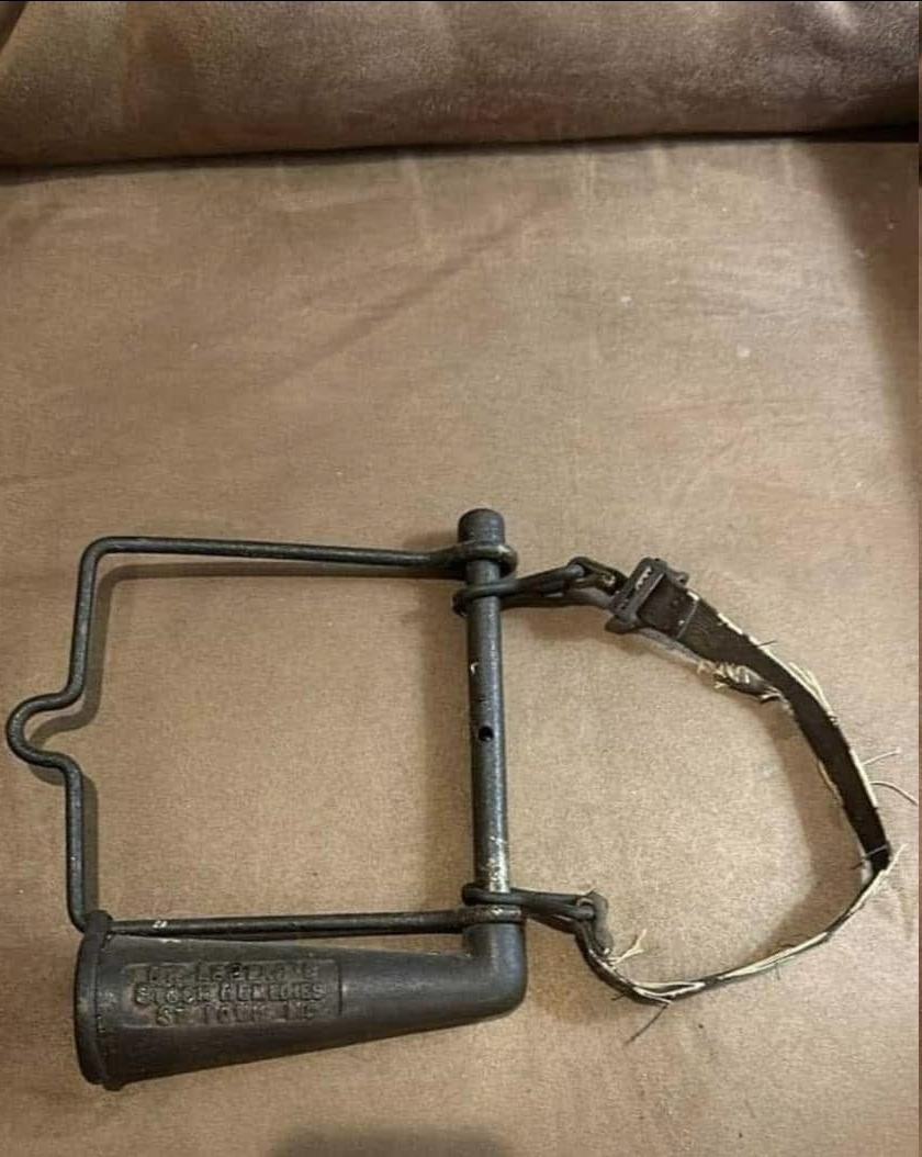 Can You Identify This Brass Beauty? The Antique Horse Drencher