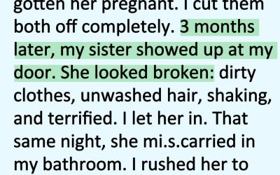 I Hated My Sister for Destroying My Marriage… Until the Night She Lost the Baby