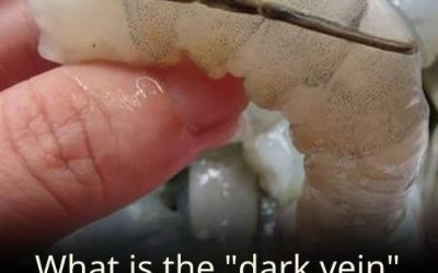 The “vein” of the shrimp: a little-known culinary detail