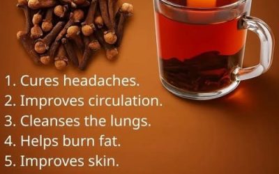 The Ancient Secret in Your Spice Rack: 18 Proven Ways Clove Tea Transforms Your Health, Metabolism, and Longevity
