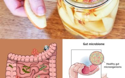 A Simple Fermented Apple Recipe for Gut Health, Immunity, and Natural Energy