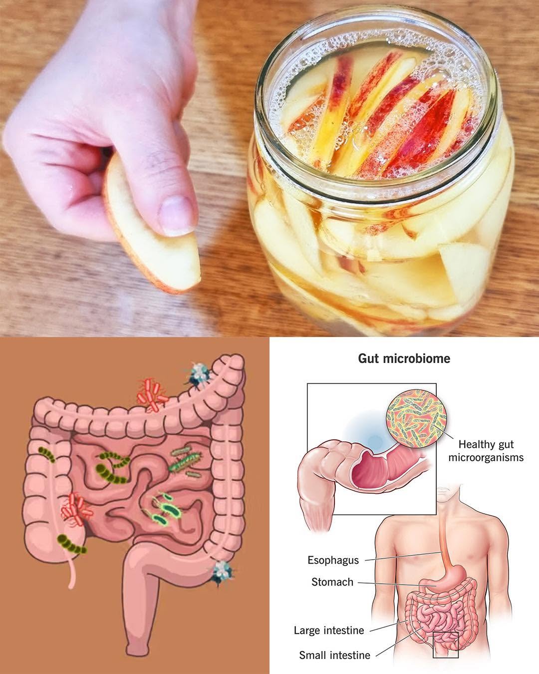 A Simple Fermented Apple Recipe for Gut Health, Immunity, and Natural Energy
