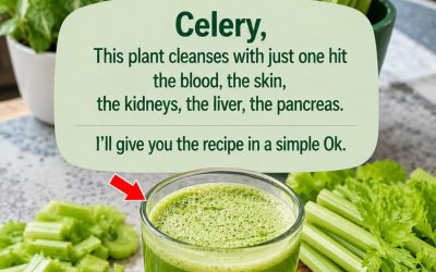This plant cleans blood, skin, kidneys, liver and pancreas in one stroke. But do it this way.. To keep getting my recipes, you just have to say something… Thank you!… To keep getting my recipes, you just have to say something… Thank you!