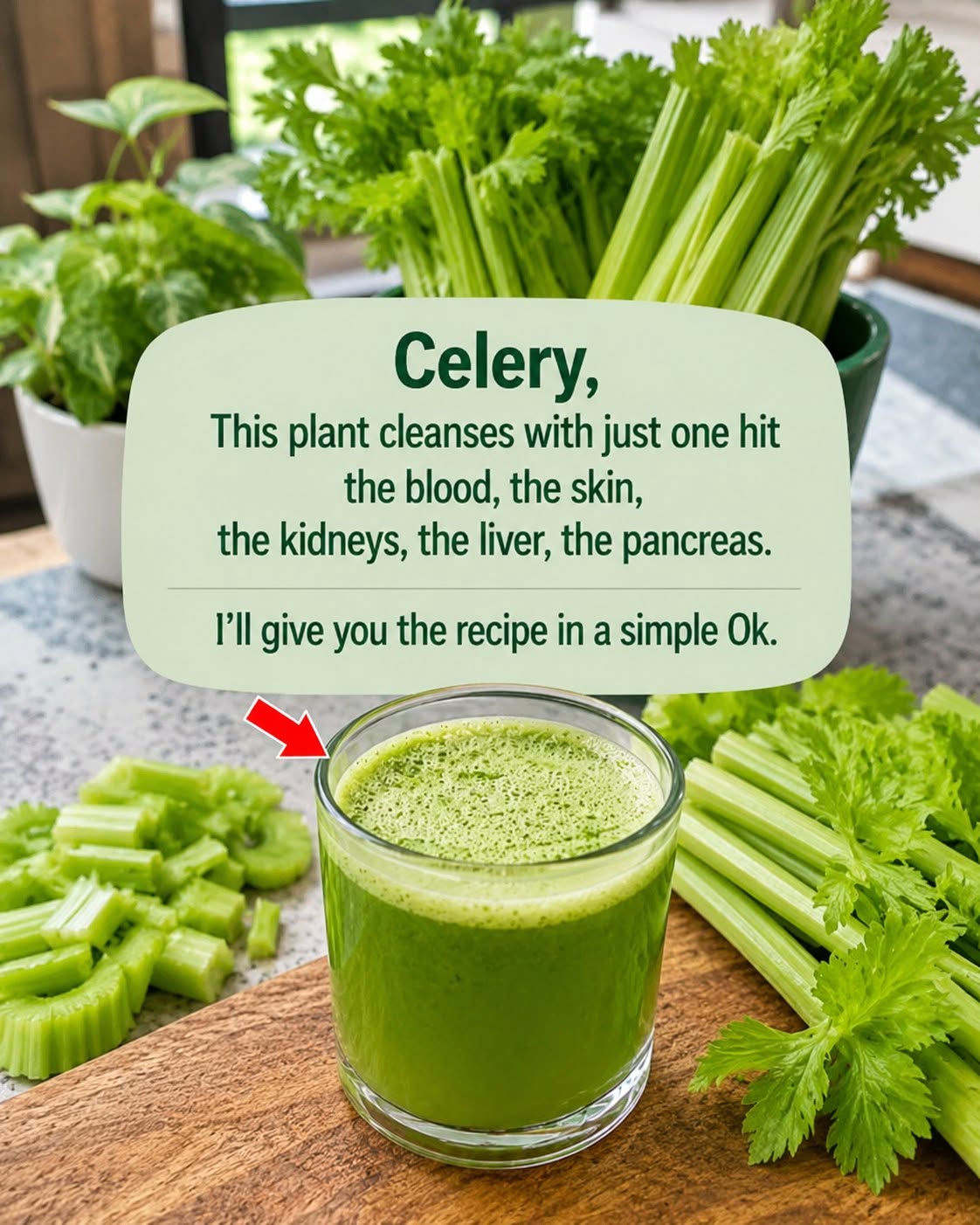 This plant cleans blood, skin, kidneys, liver and pancreas in one stroke. But do it this way.. To keep getting my recipes, you just have to say something… Thank you!… To keep getting my recipes, you just have to say something… Thank you!