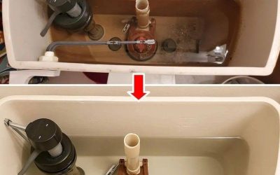 How to Clean Your Toilet Flush and Make It Look Like New