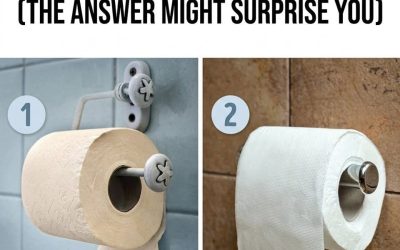 Which Way Is the Correct Way to Hang Toilet Paper? (The Answer Might Surprise You)