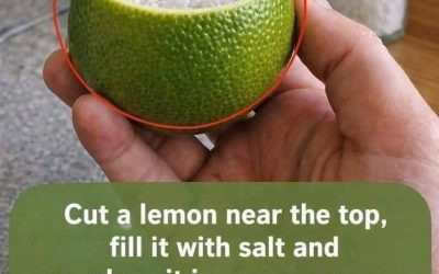 The Salted Lemon Air Purifier