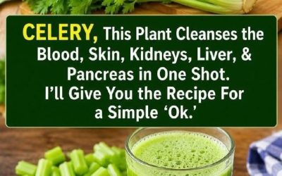 This plant cleans the blood, skin, kidneys, liver, and pancreas in one go. But do it this way… To keep receiving my recipes, you just need to say