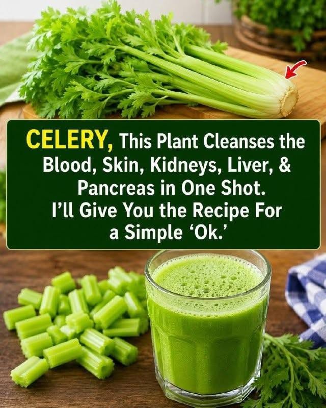 This plant cleans the blood, skin, kidneys, liver, and pancreas in one go. But do it this way… To keep receiving my recipes, you just need to say